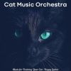 Download track Happy Music For Resting Kittens