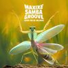 Download track Maxixe Samba Groove