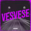 Download track Vesvese