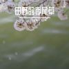 Download track 林深见鹿不见你