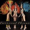 Download track Viva Carnival - Brazil Latin Hit