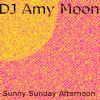 Download track Sunny Sunday Afternoon