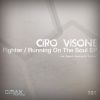 Download track Ciro Visone -Running On The Soul (Original Mix)