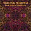 Download track Ancestral Resonance