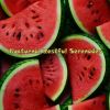 Download track Nocturnal Restful Serenades