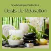 Download track Musique De Guérison De Spa