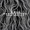 Download track Soul Destruction