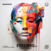 Download track Feeling