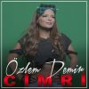 Download track Cimri