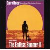 Download track Theme From The Endless Summer