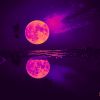 Download track Purple Moon