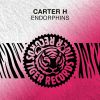 Download track Endorphins (Radio Edit)