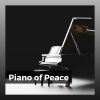 Download track Nocturnes, Op. 9: No. 2 In E-Flat Major. Andante