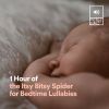 Download track 1 Hour Of The Itsy Bitsy Spider For Bedtime Lullabies, Pt. 21