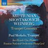 Download track Shostakovich Piano Concerto No. 1 In C Minor, Op. 35 (Arr. T. Dokshizer & P. Merkelo For Trumpet, Piano & String Orchestra) I. Allegro Moderato