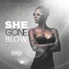 Download track She Gone Blow