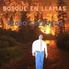 Download track Bosque En Llamas