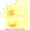 Download track Modish Backdrops For Relaxing Dogs