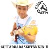 Download track Guitarrada Sertaneja II