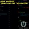 Download track Searching For The Meaning (Radio Edit)