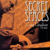 Download track Secret Spaces