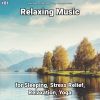 Download track Relaxing Music At Home