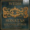 Download track Sonata, Weisssw. 97 In F Major: II. Courante