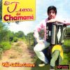 Download track El Turco Del Chamame