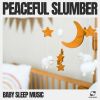 Download track Peaceful Night Melody