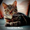 Download track Stylish Ambiance For Training Your Cat