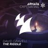 Download track The Riddle (Extended Mix)