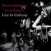 Download track The Bungee Jumpers: The Fisherman's Lilt / Dedicato A Vares / Rodney Miller's Tune (Live)