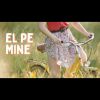 Download track El Pe Mine. Opus