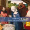 Download track Christmas Oratorio BWV248, Cantata 2: Am Zweiten Weihnachtsfeiertage: Aria: Alto: Schlafe, Mein Liebster, Geniesse Der Ruh