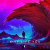 Download track Why Life You