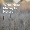 Download track Easy Listening White Noise, Pt. 1