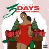 Download track The Day After Christmas