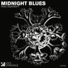 Download track Midnight Blues (Original Mix)