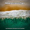 Download track Progressive Muskelentspannung In Der Sonne