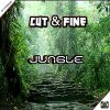 Download track Jungle (Original Mix)