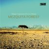 Download track Mezquita Forest