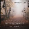 Download track The End Of Labyrinth (Abide Remix)