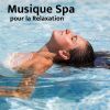 Download track Musique De Nuit Relaxante