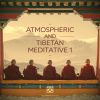 Download track Atmospheric And Tibetan Meditative 13 (Meditative)