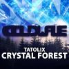 Download track Crystal Forest (Pixelbit Extended Remix)