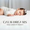 Download track Sleep Music For Babys