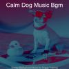 Download track Wonderful Music For Calming Pups