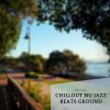 Download track Chillout Nu Jazz Beats Ground