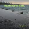 Download track Sun Shower (Rain)