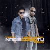 Download track Nadie Como Tu (Remix) [Manny Montes]